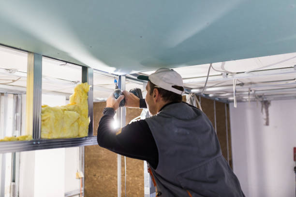 Best Wall Insulation Contractor  in Sebastian, TX