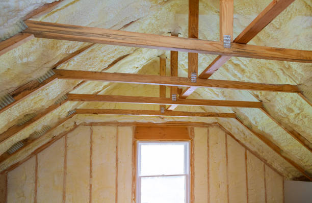 Best Residential Insulation Services  in Sebastian, TX