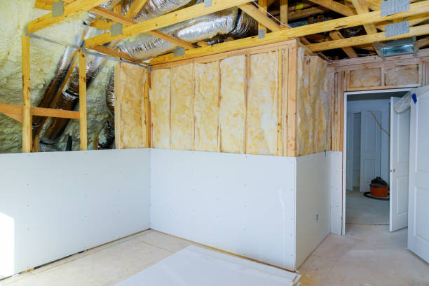 Best Local Insulation Services  in Sebastian, TX