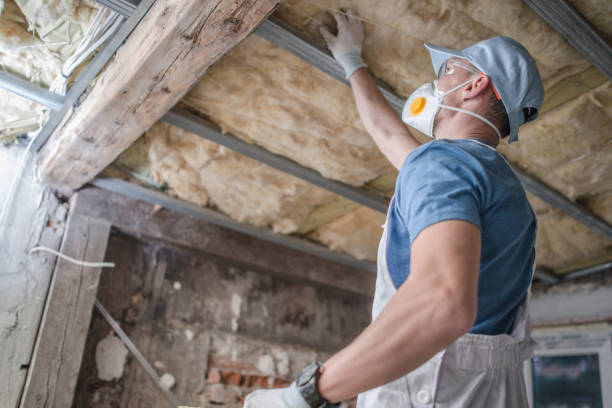 Best Insulation for New Construction  in Sebastian, TX