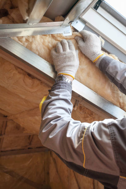 Garage Insulation Installation in Sebastian, TX