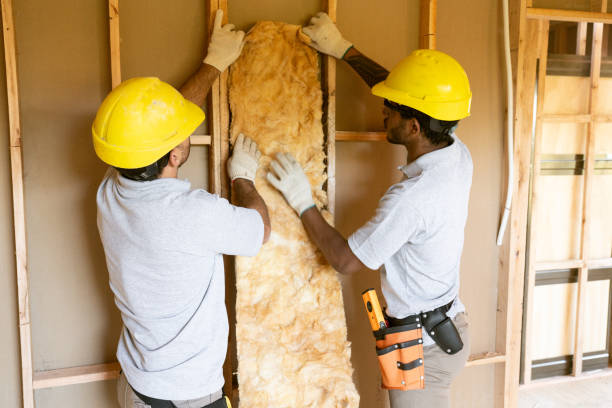 Best Professional Insulation Contractor  in Sebastian, TX
