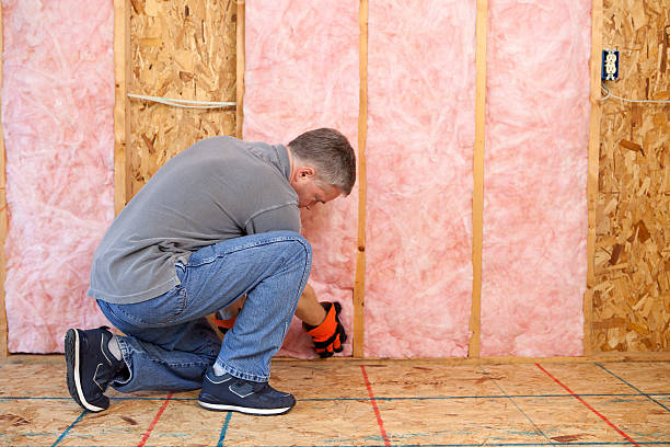 Best Insulation Replacement Services  in Sebastian, TX