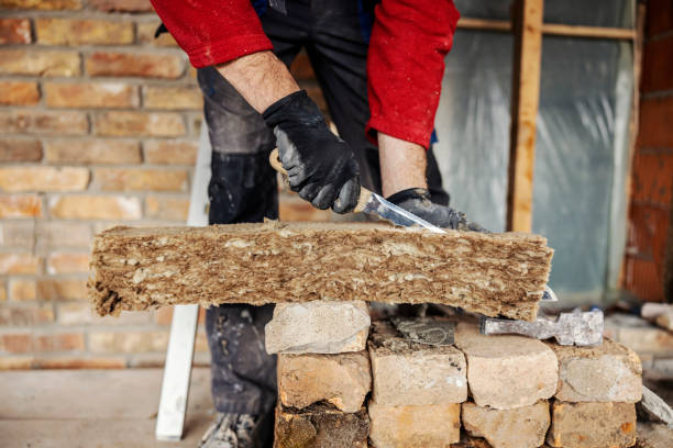Best Cellulose Insulation  in Sebastian, TX