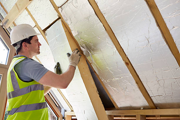 Best Attic Insulation Installation  in Sebastian, TX