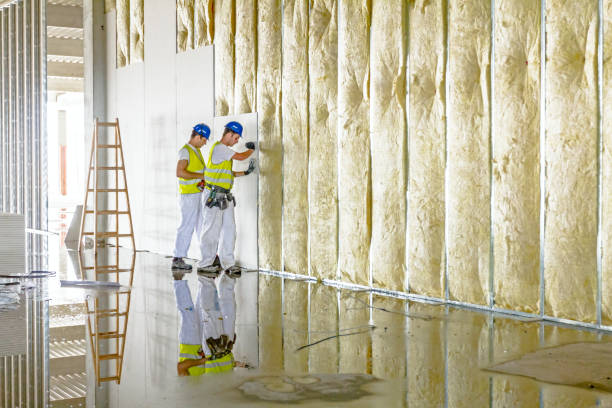 Best Residential Insulation Services  in Sebastian, TX